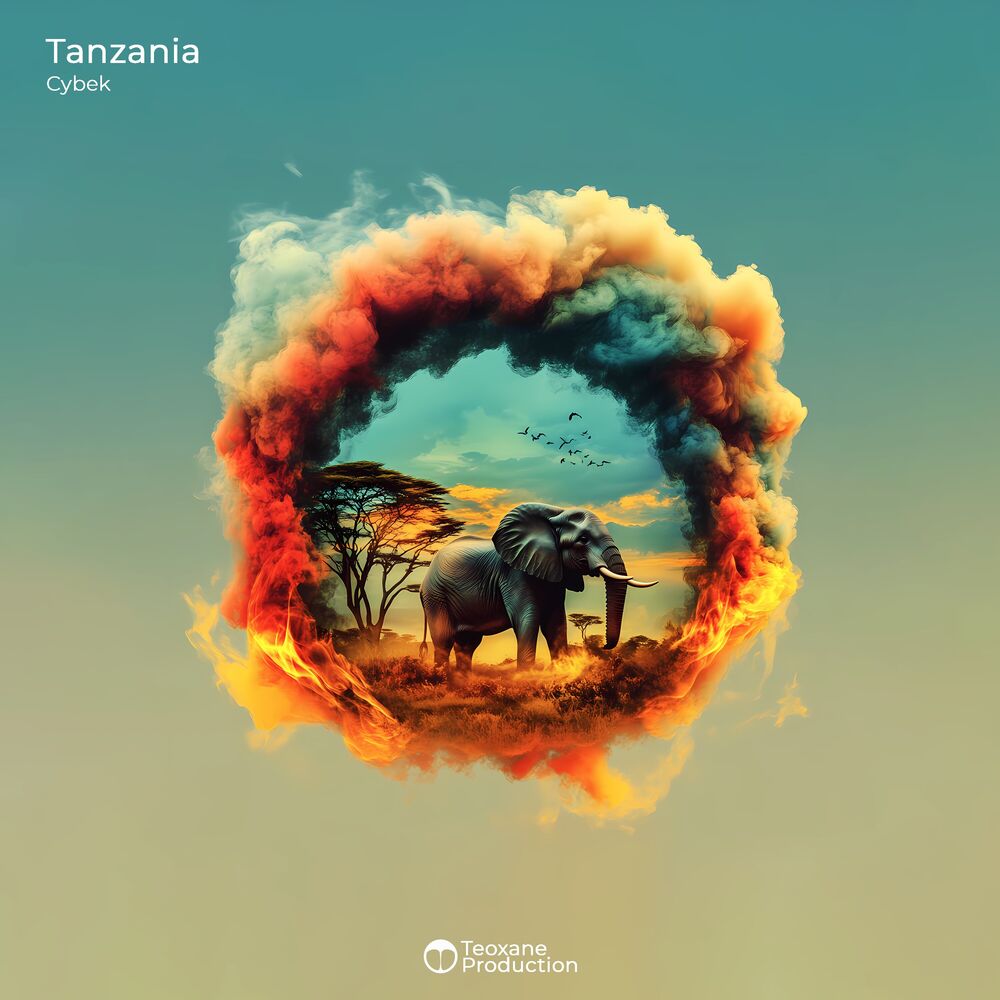 Picture of Tanzania