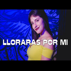 Cover of Lloraras por Mi