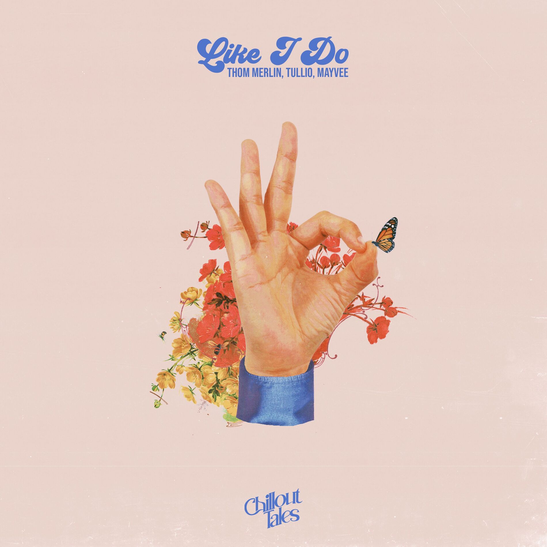 Album cover of Like I Do