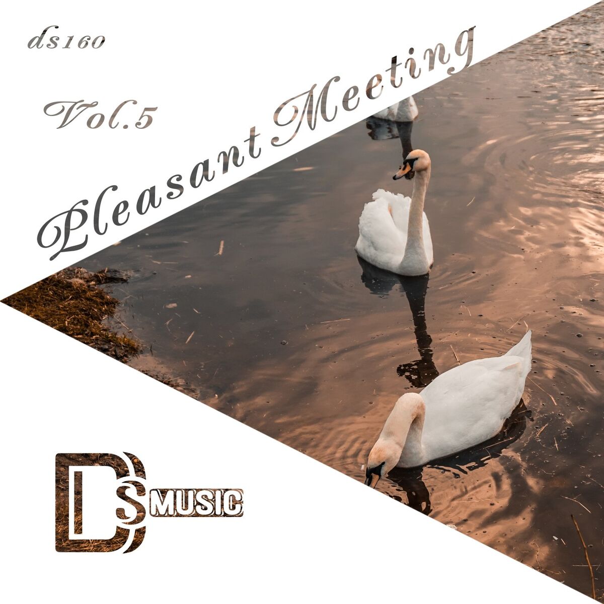 Album cover of Pleasant Meeting, Vol. 5