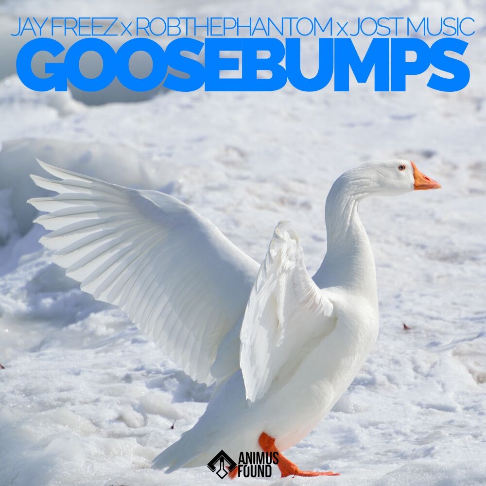 Picture of Goosebumps