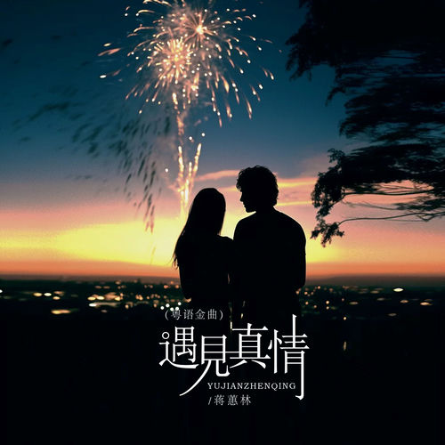 遇见真情 (粤语金曲)