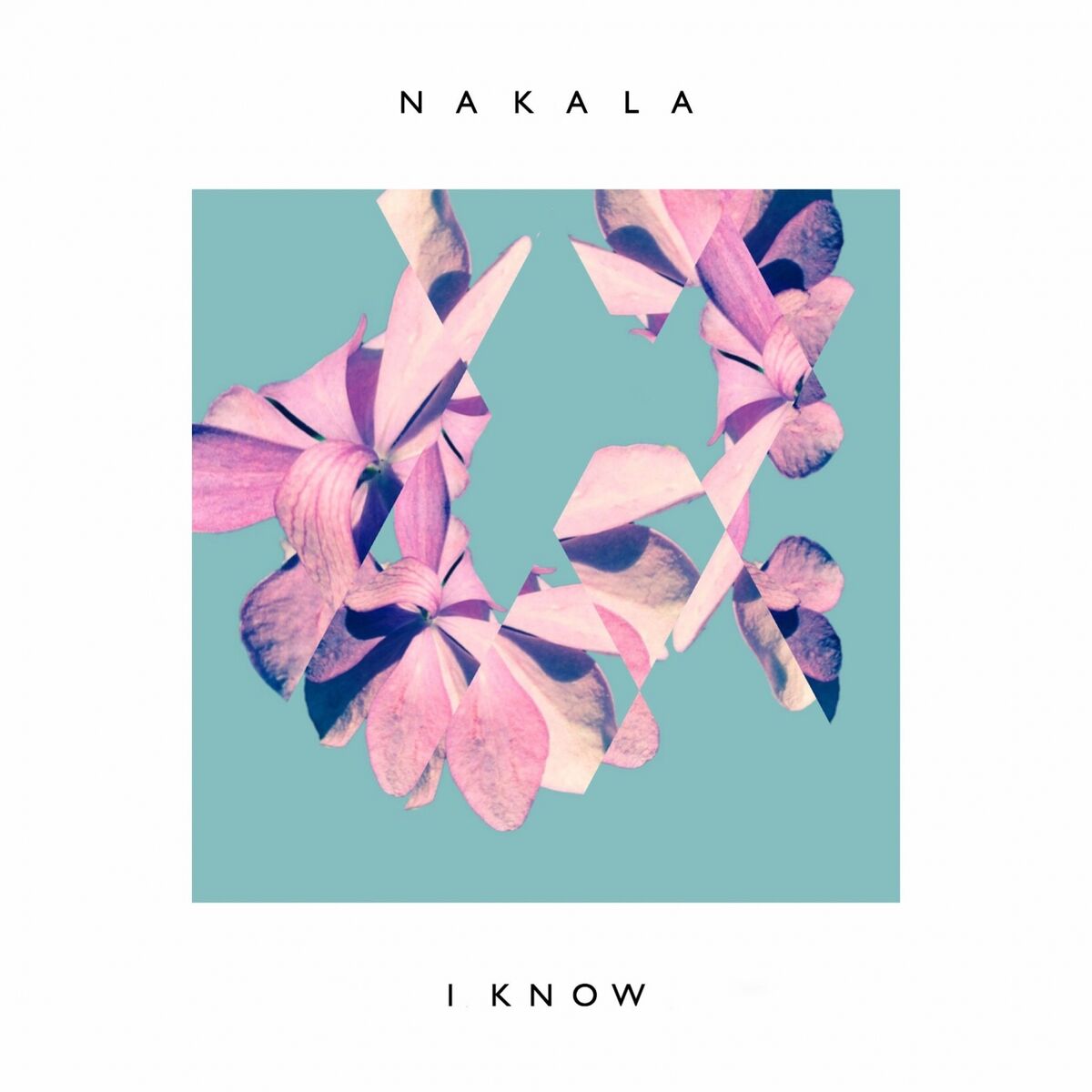 Album cover of I Know