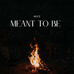 Cover of Meant to be
