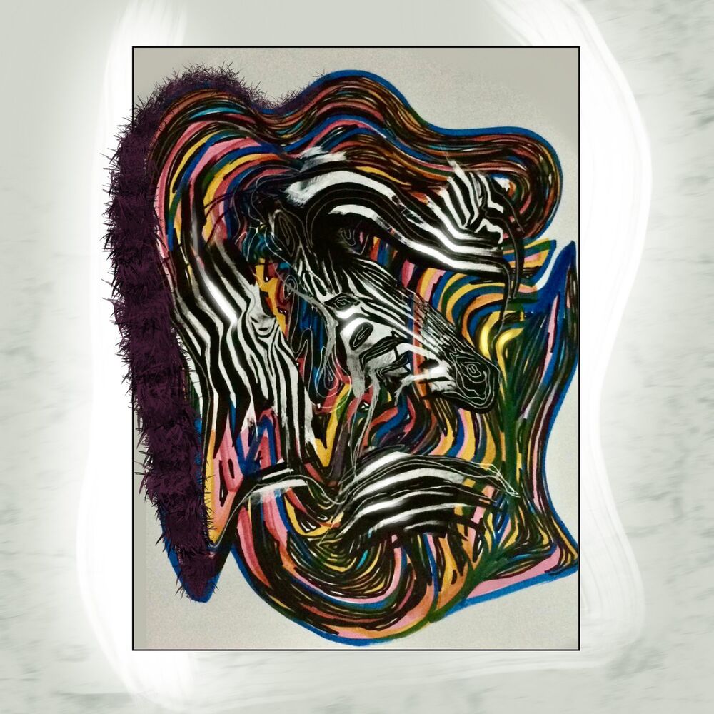 Picture of Zebra