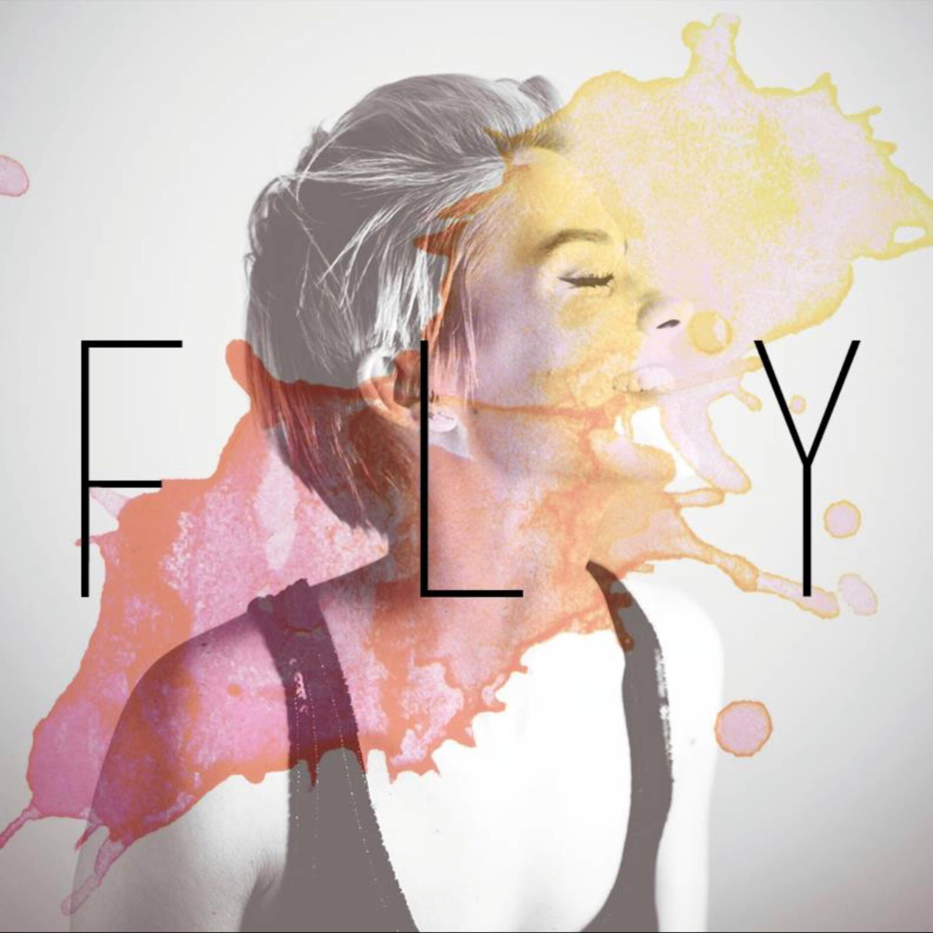 Album cover of Fly