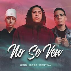 Cover of No Se Ven
