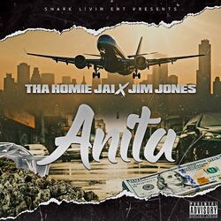 Cover of ANITA