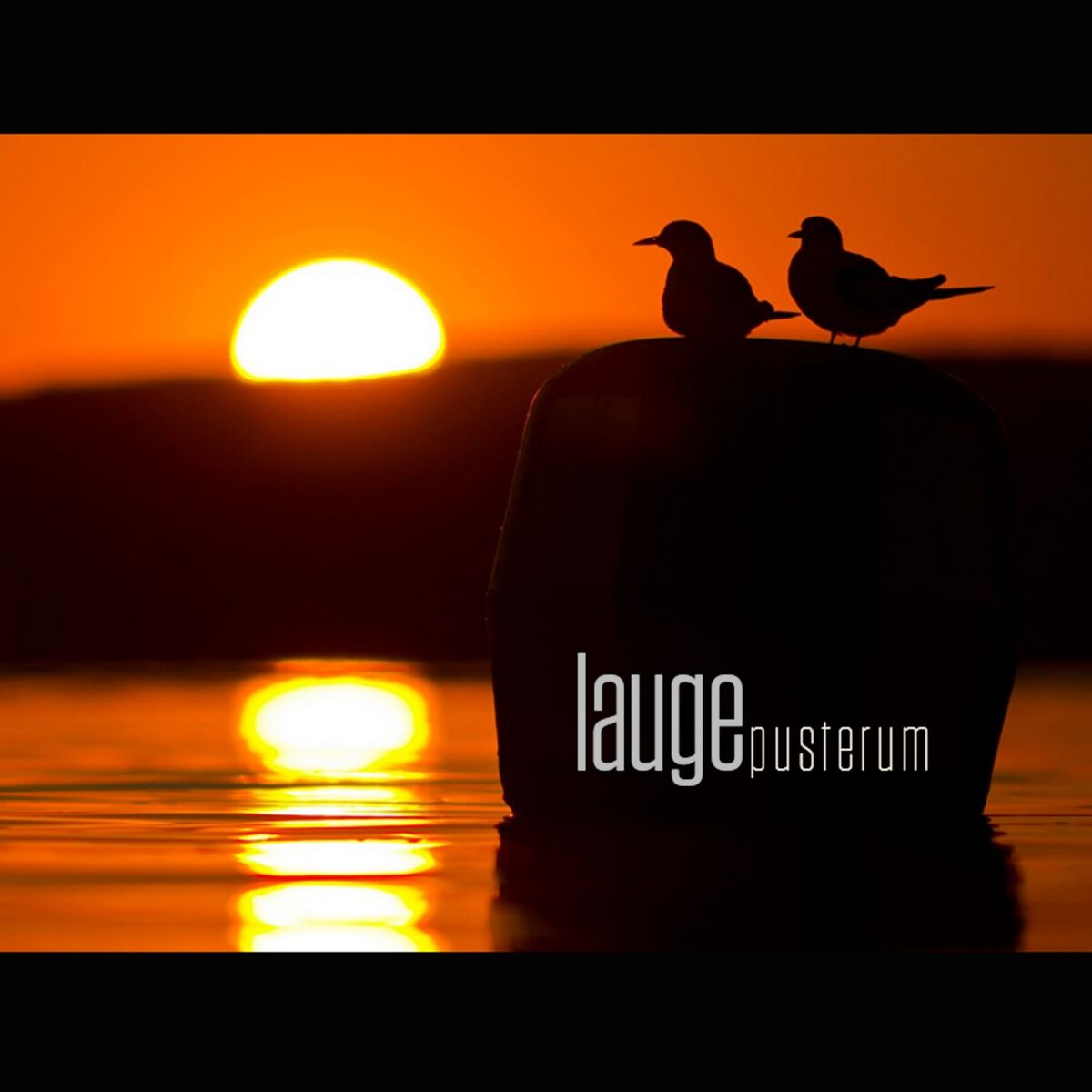 Album cover of Pusterum