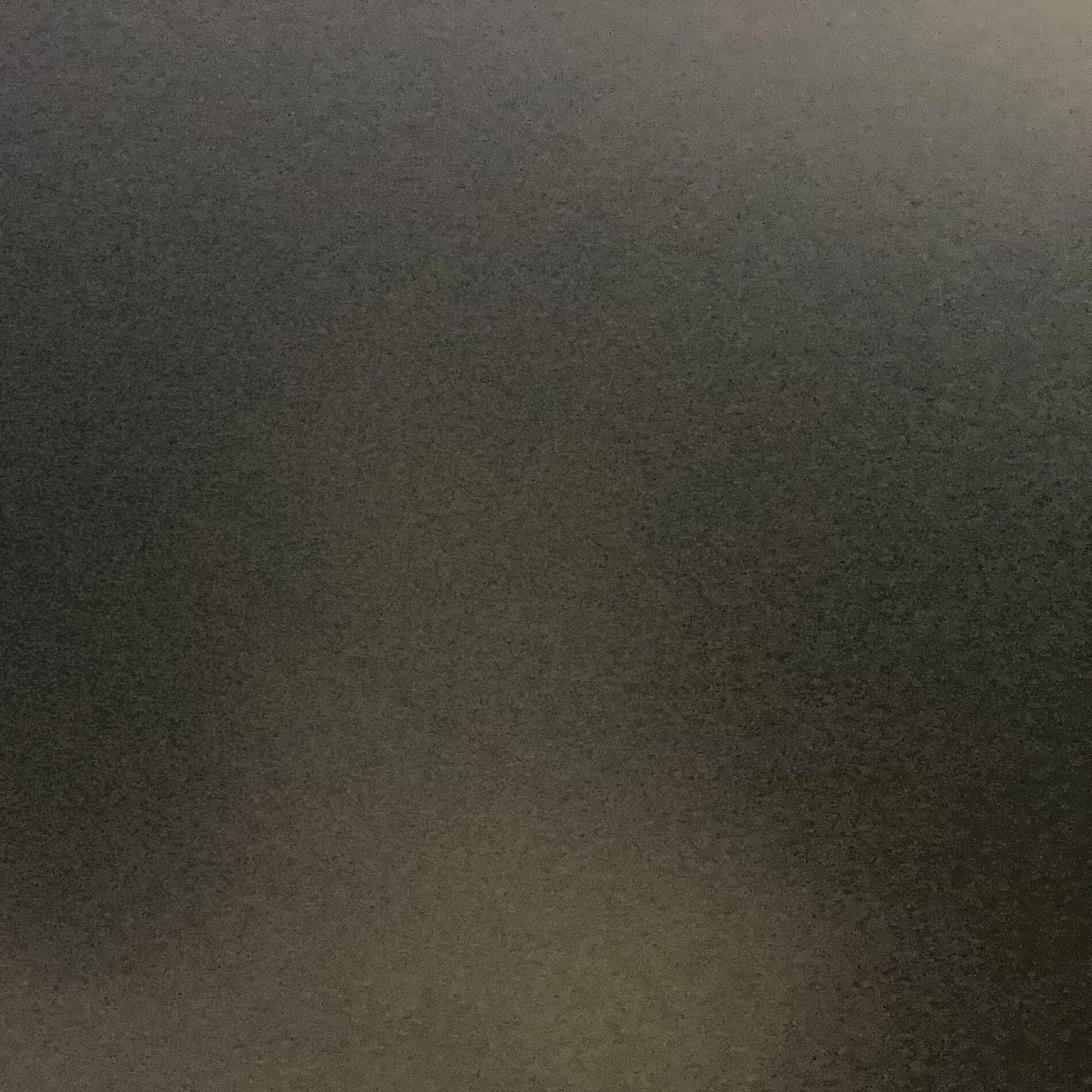 Album cover of Japenease
