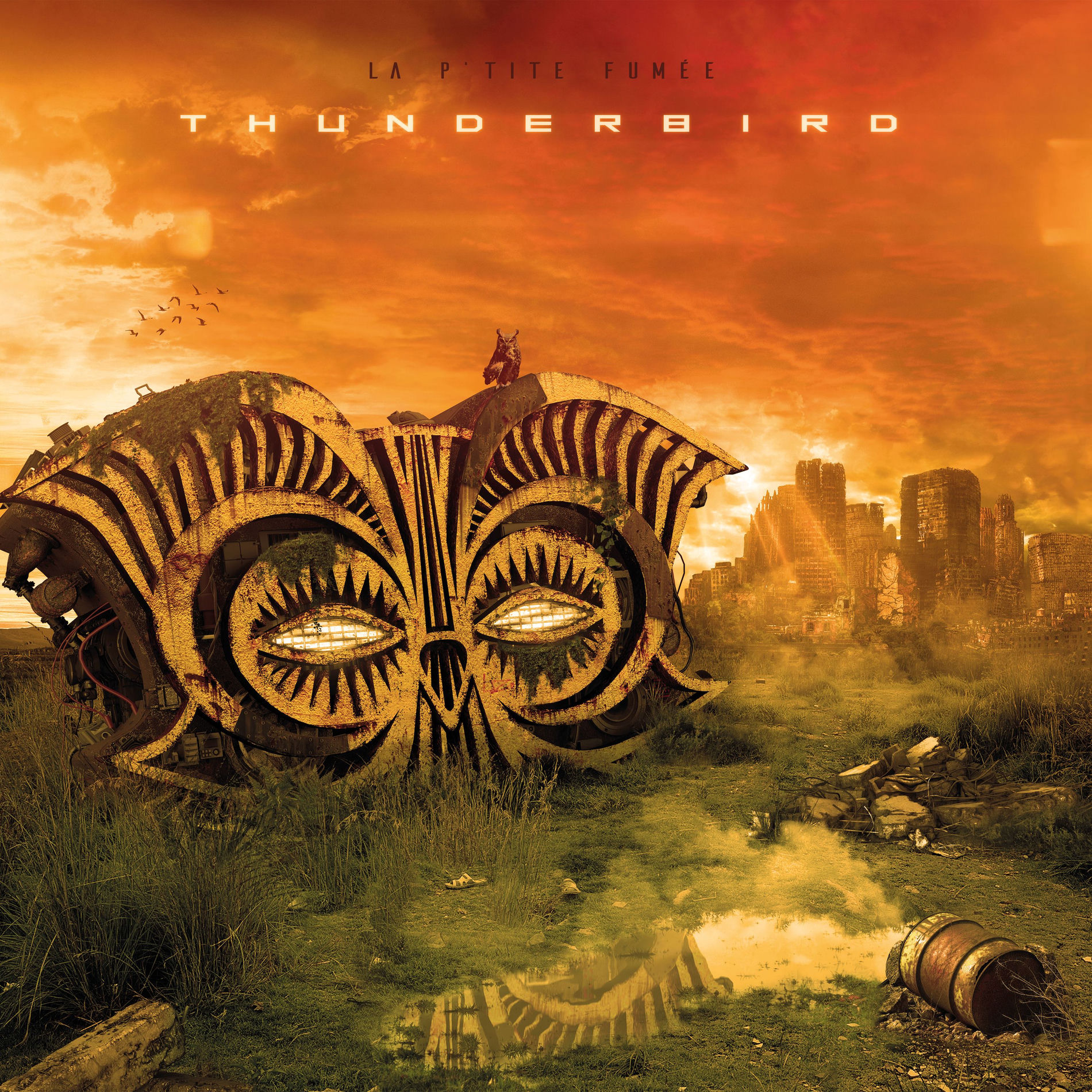 Album cover of Thunderbird