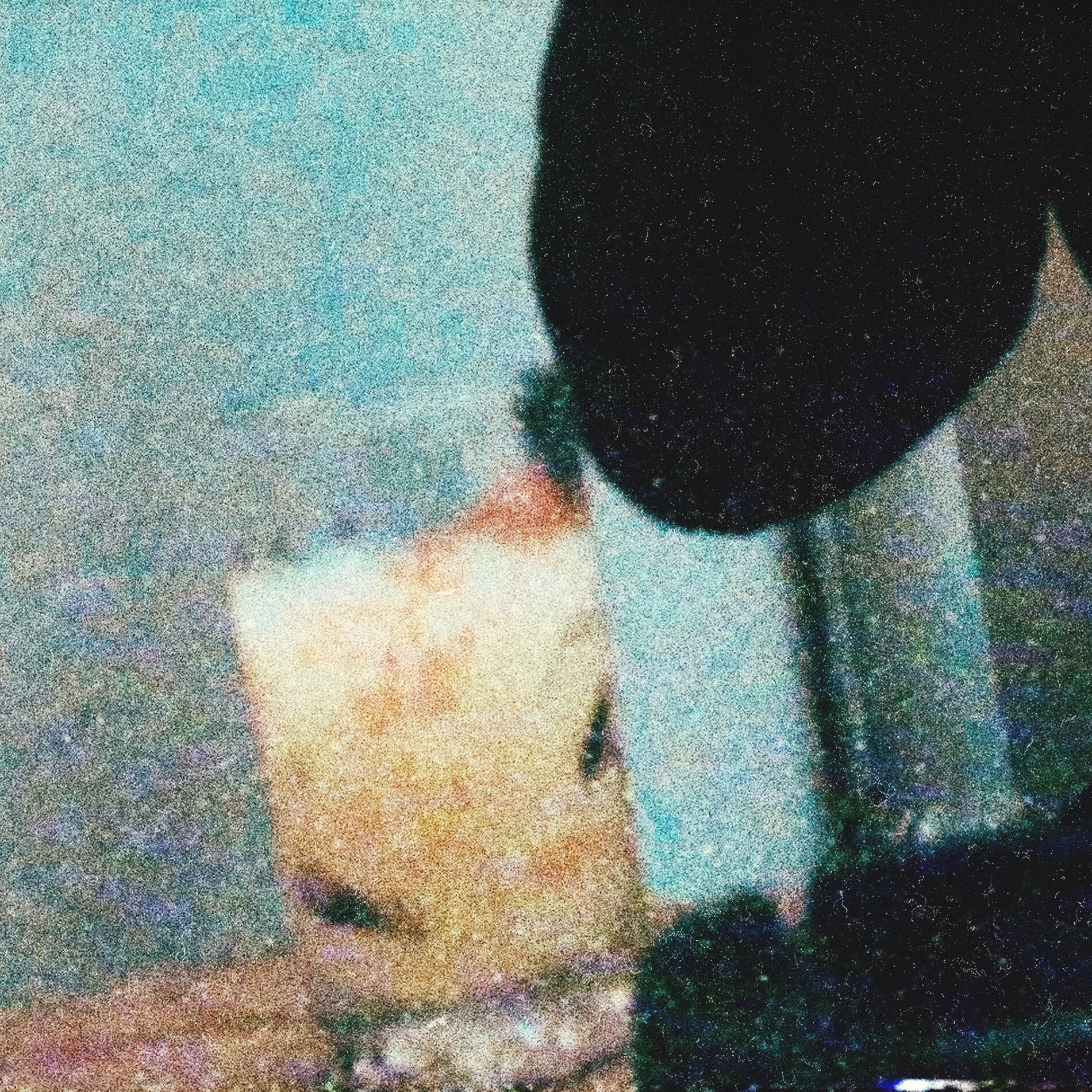 Album cover of Chevalier Ricard