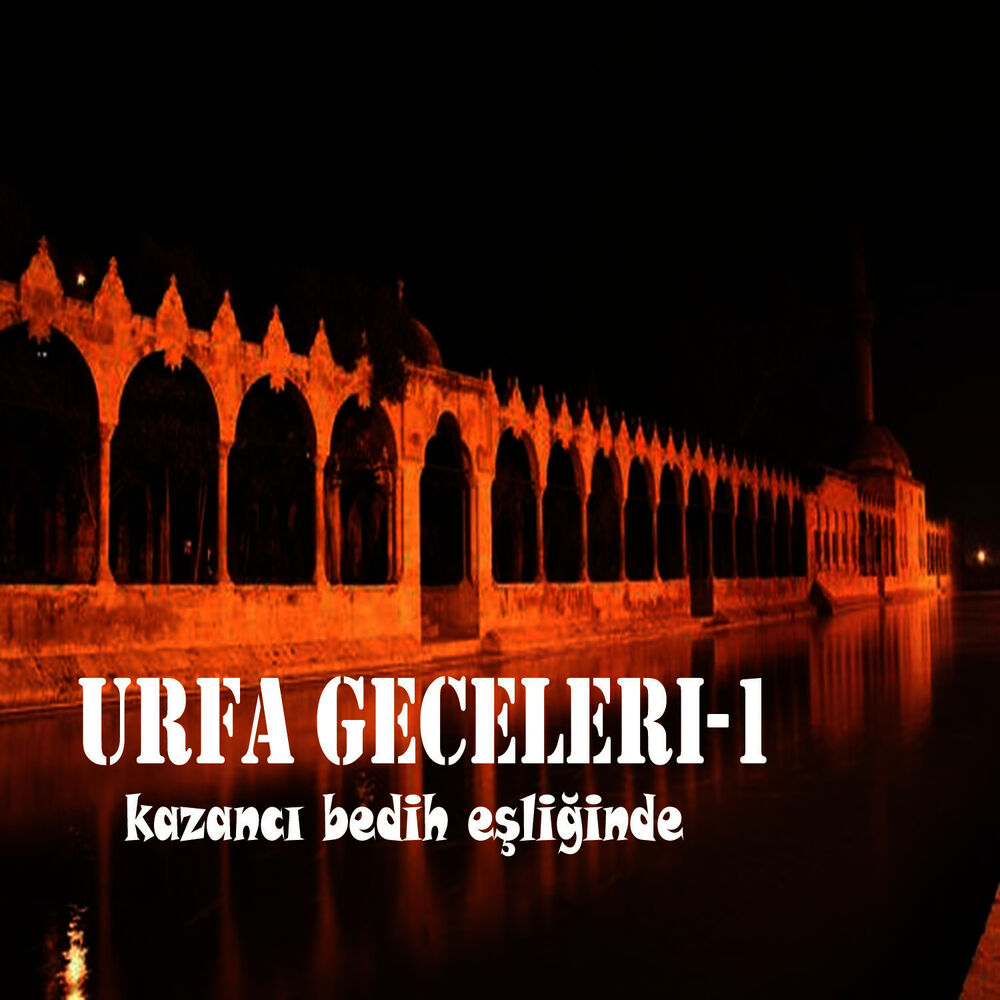 Picture of Urfa Geceleri-1