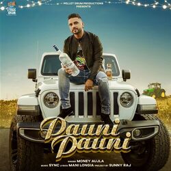 Cover of Pauni Pauni
