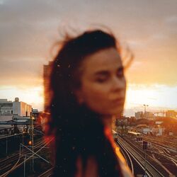Cover of Bridges