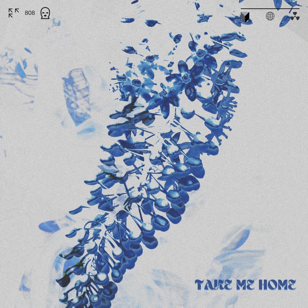 Picture of Take Me Home