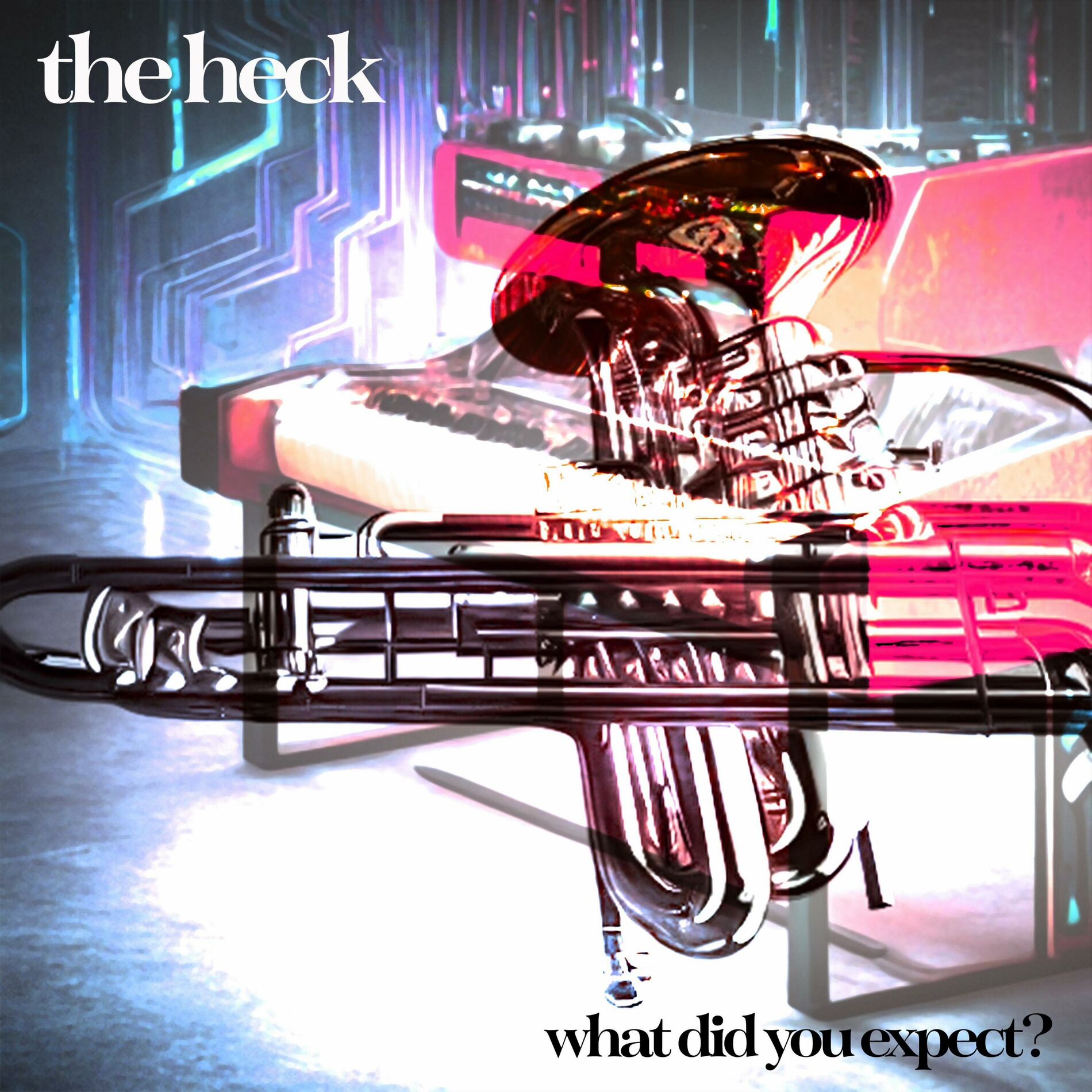 Album cover of What Did You Expect?