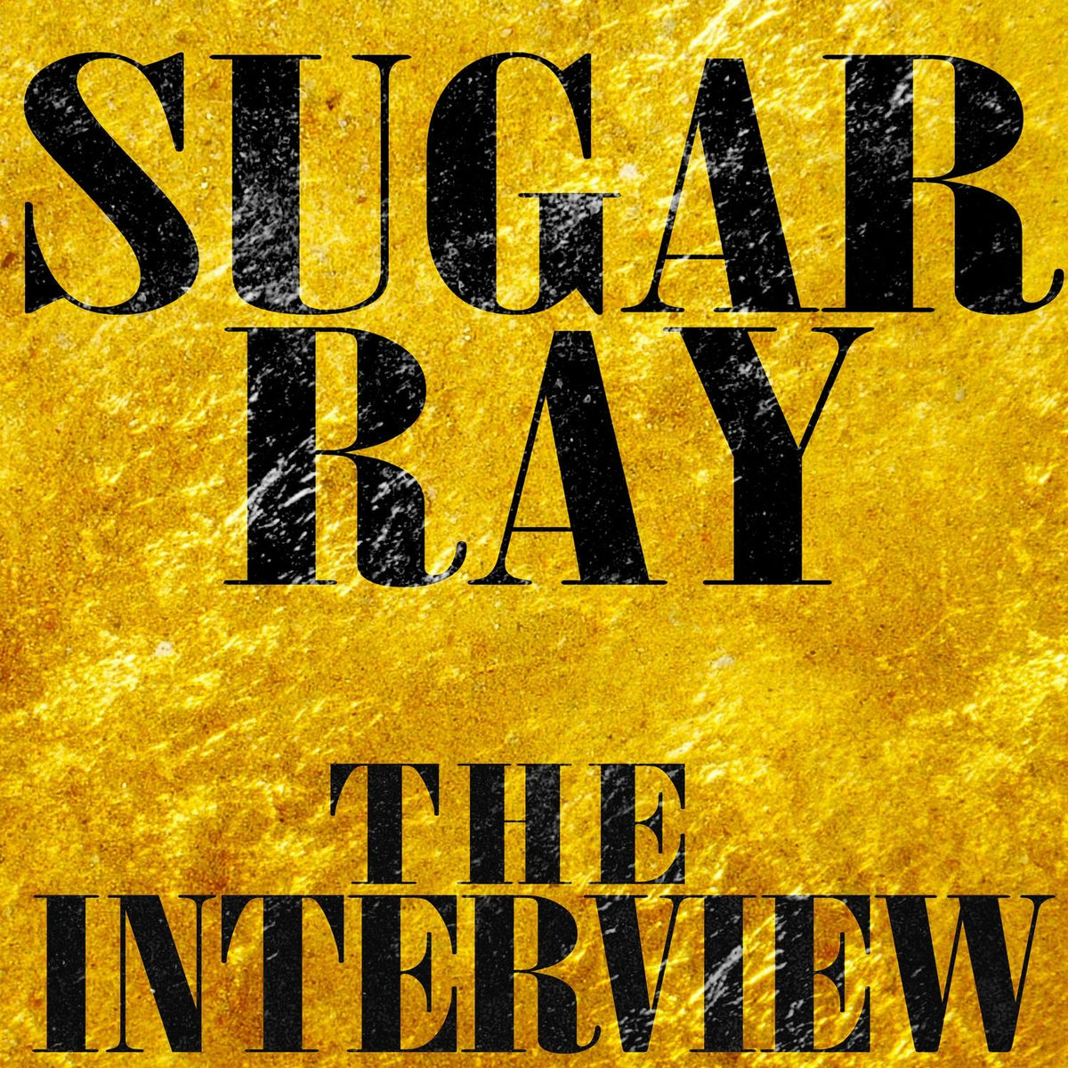 Album cover of The Interview