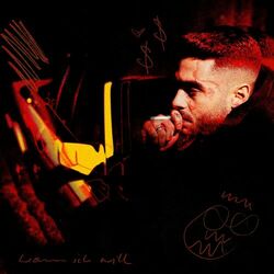 Cover of Wenn ich will