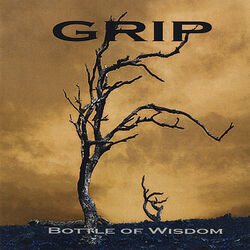 Cover of Bottle of Wisdom
