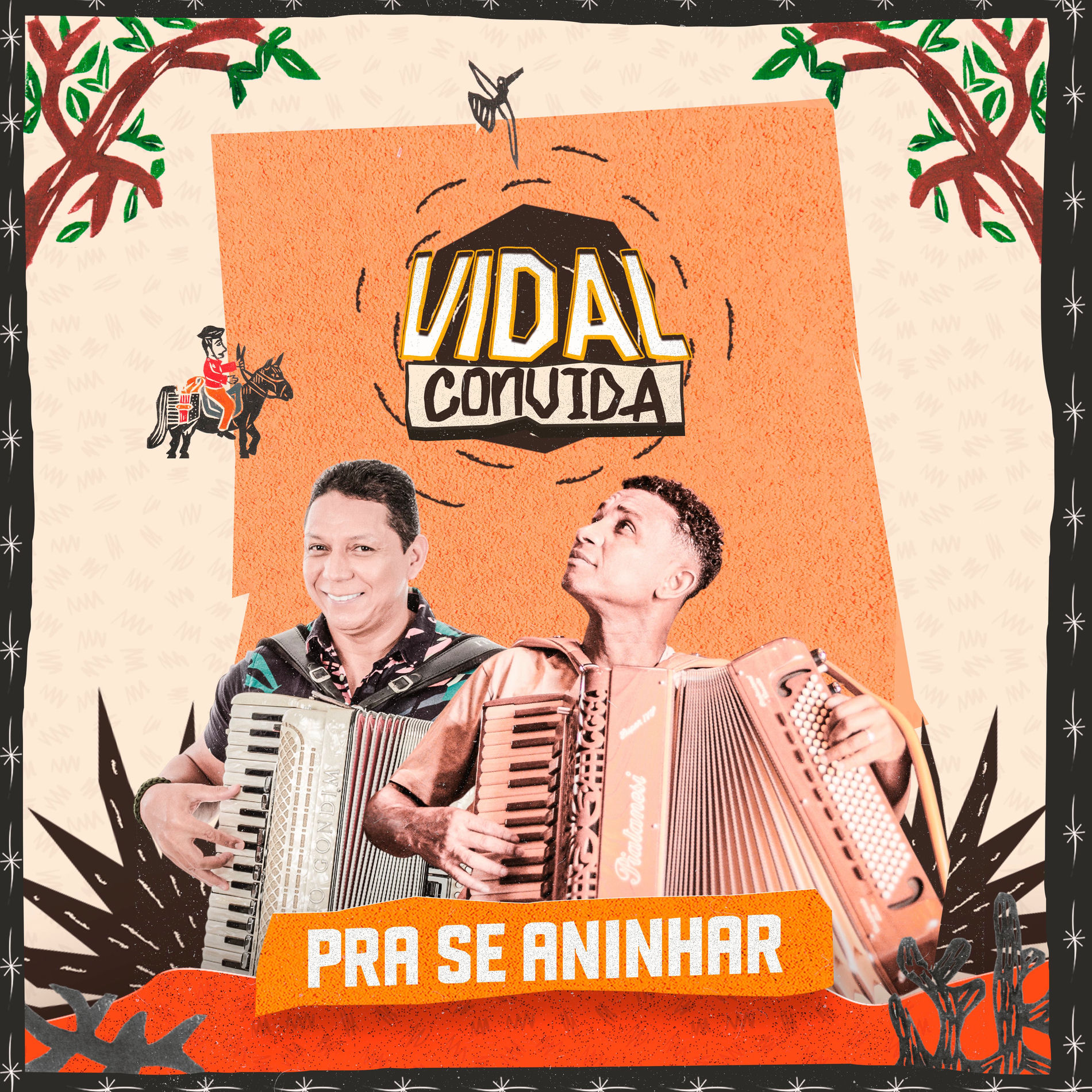 Album cover of Vidal Convida pra Se Aninhar (Ao Vivo)
