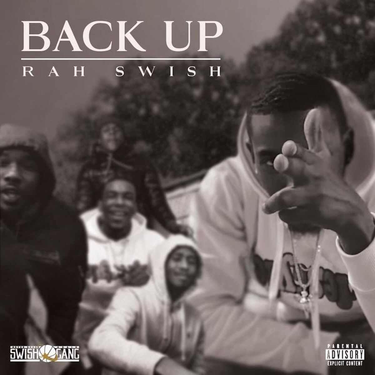 Album cover of Back Up