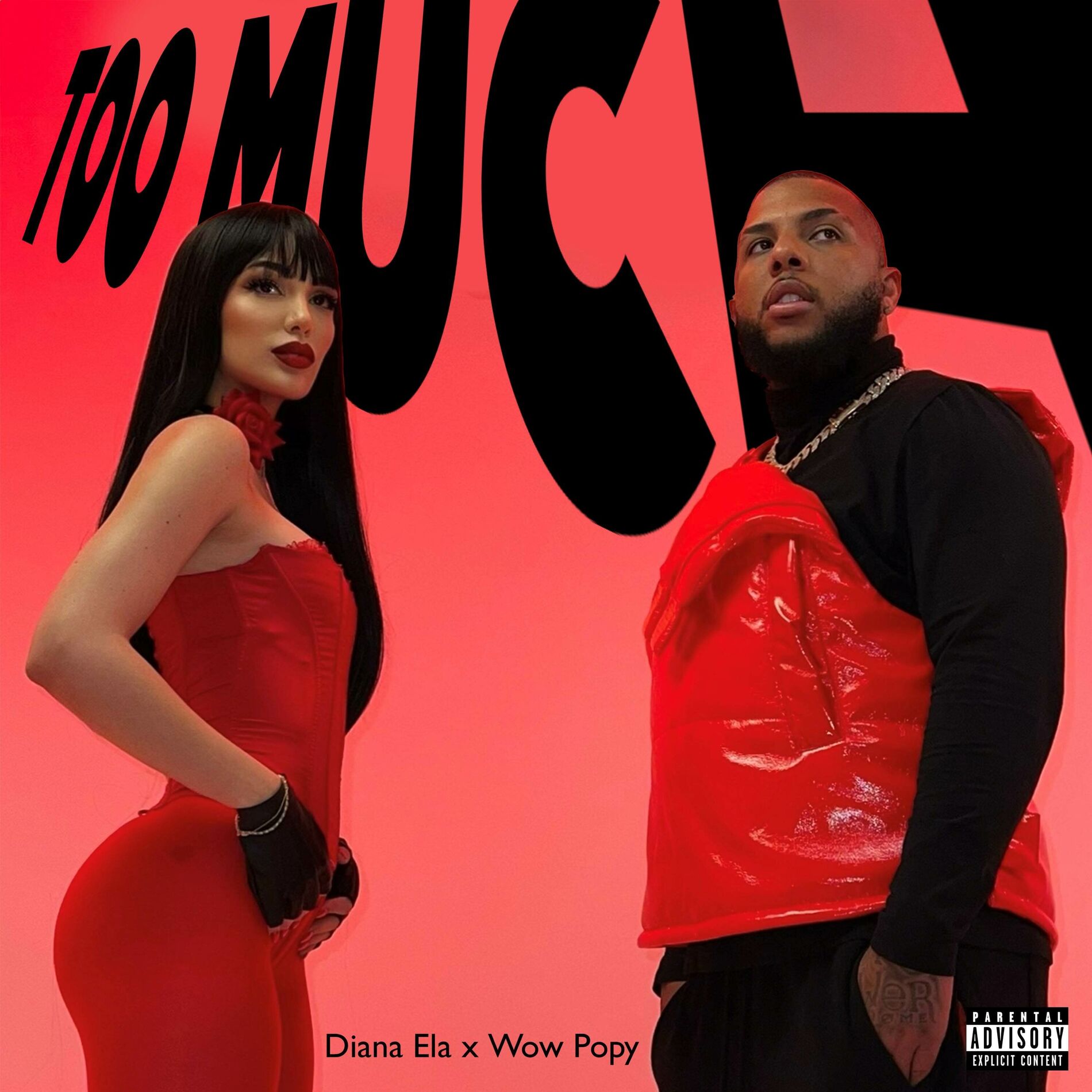 Album cover of Too Much