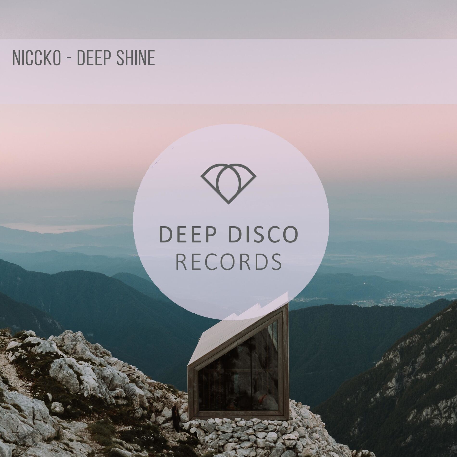 Album cover of Deep Shine