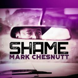 Cover of Shame