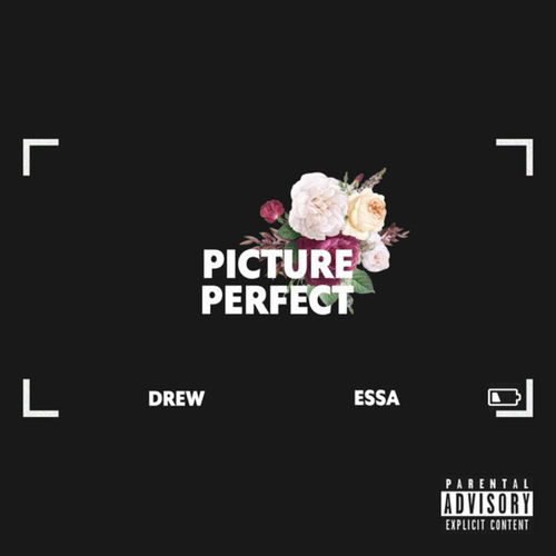 Picture Perfect