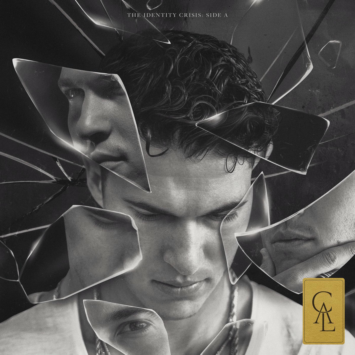 Album cover of AFU