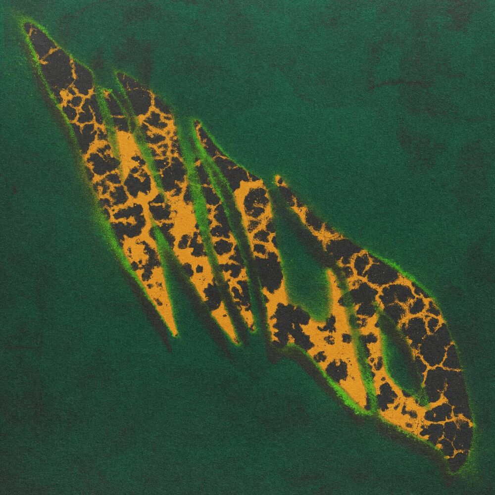 Picture of WILD