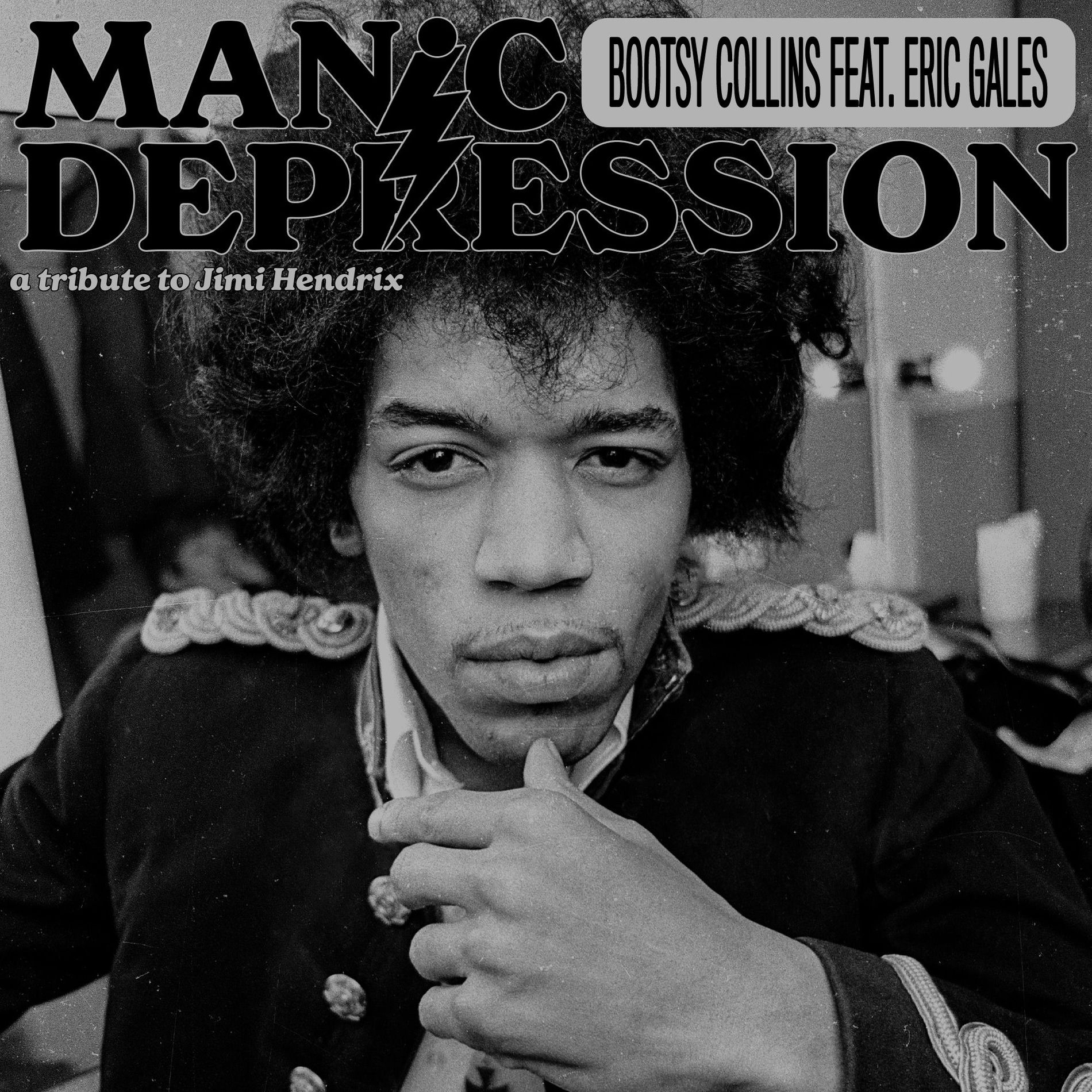 Album cover of Manic Depression