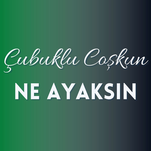 Ne Ayaksın