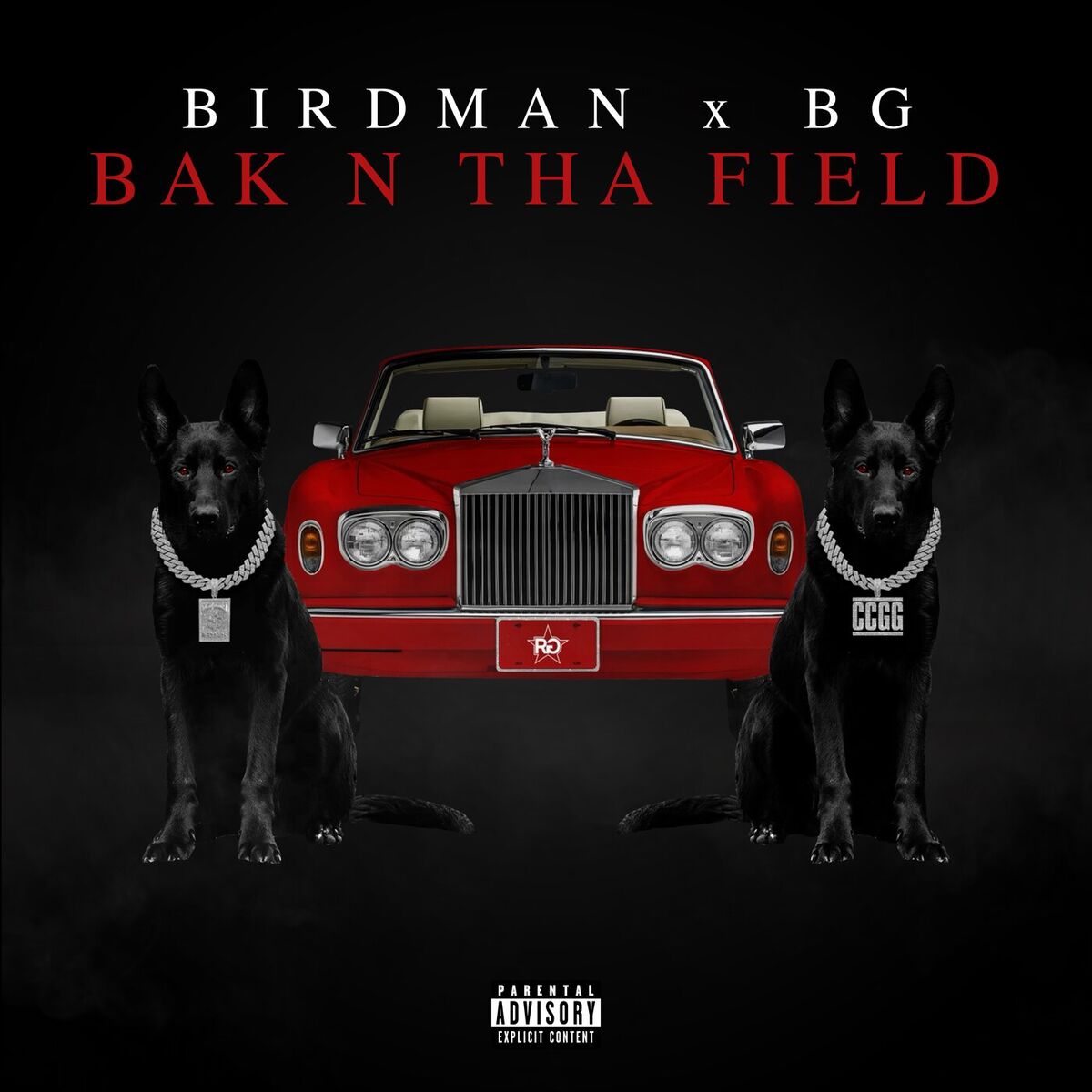 Album cover of BAK N THA FIELD