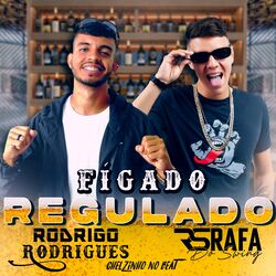 Cover of Fígado Regulado