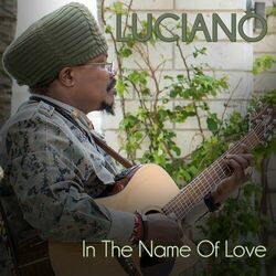 Cover of In the Name of Love