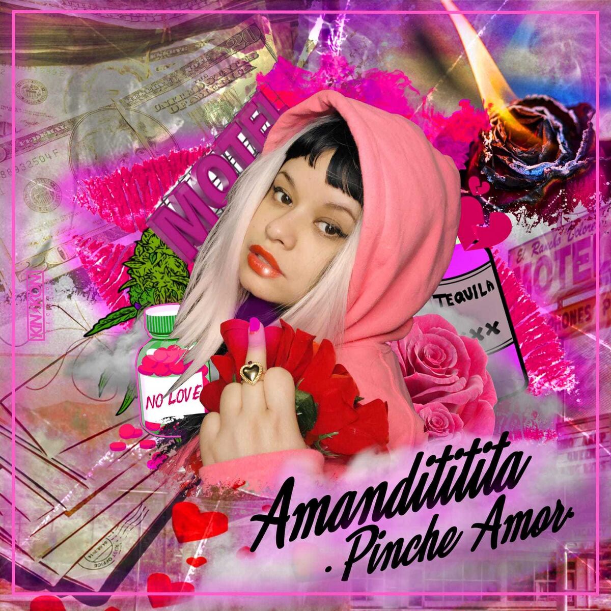 Album cover of Pinche Amor
