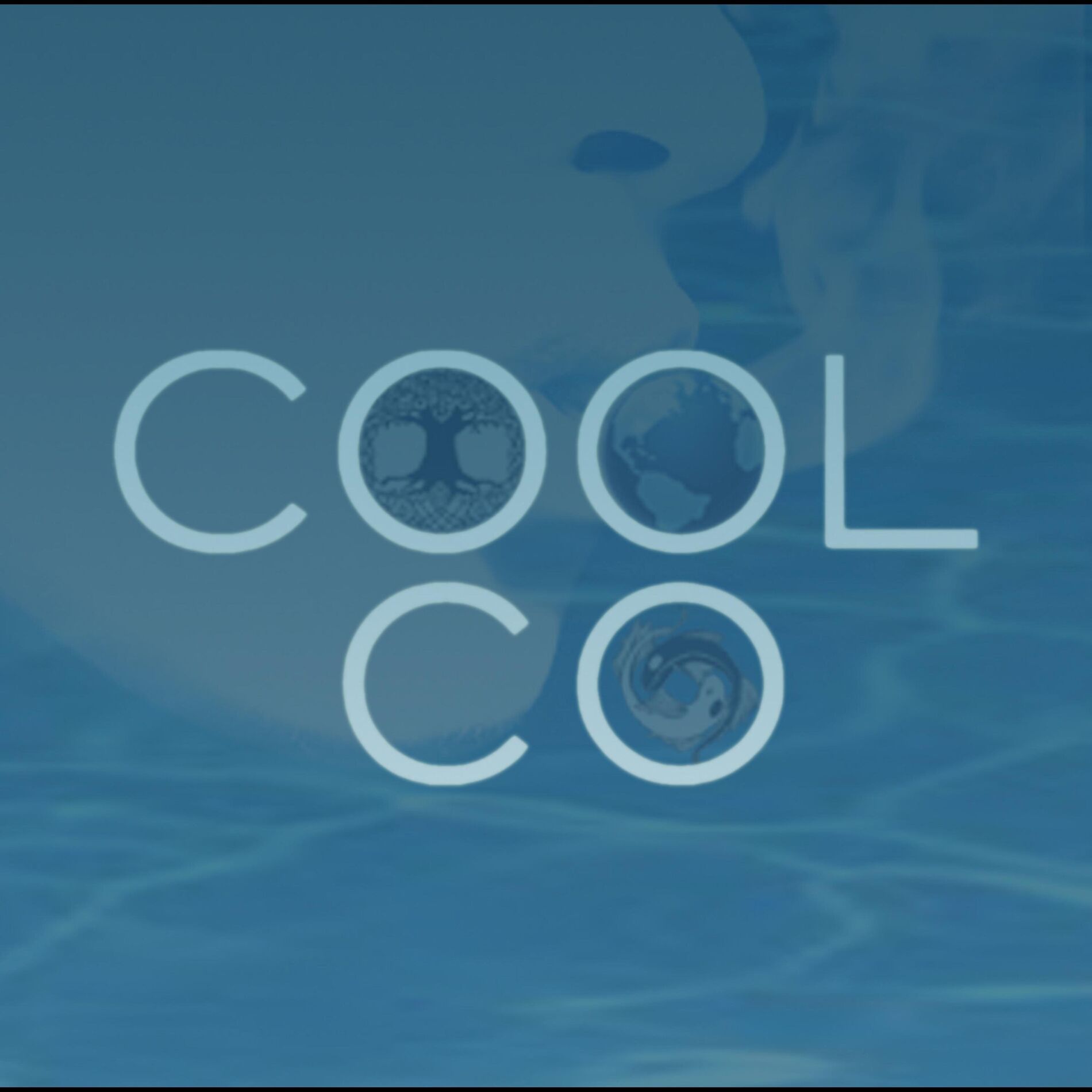 Album cover of Cool Company