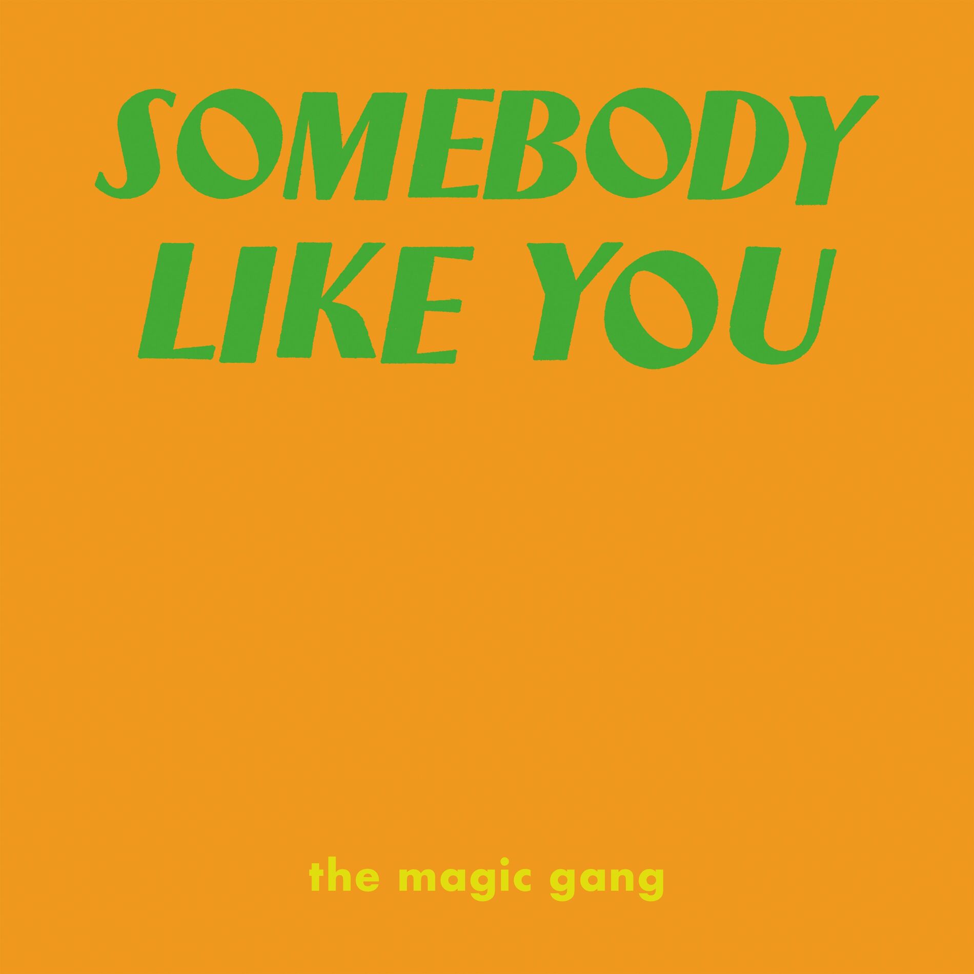 Album cover of Somebody Like You