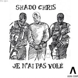 Cover of Je n'ai pas volé