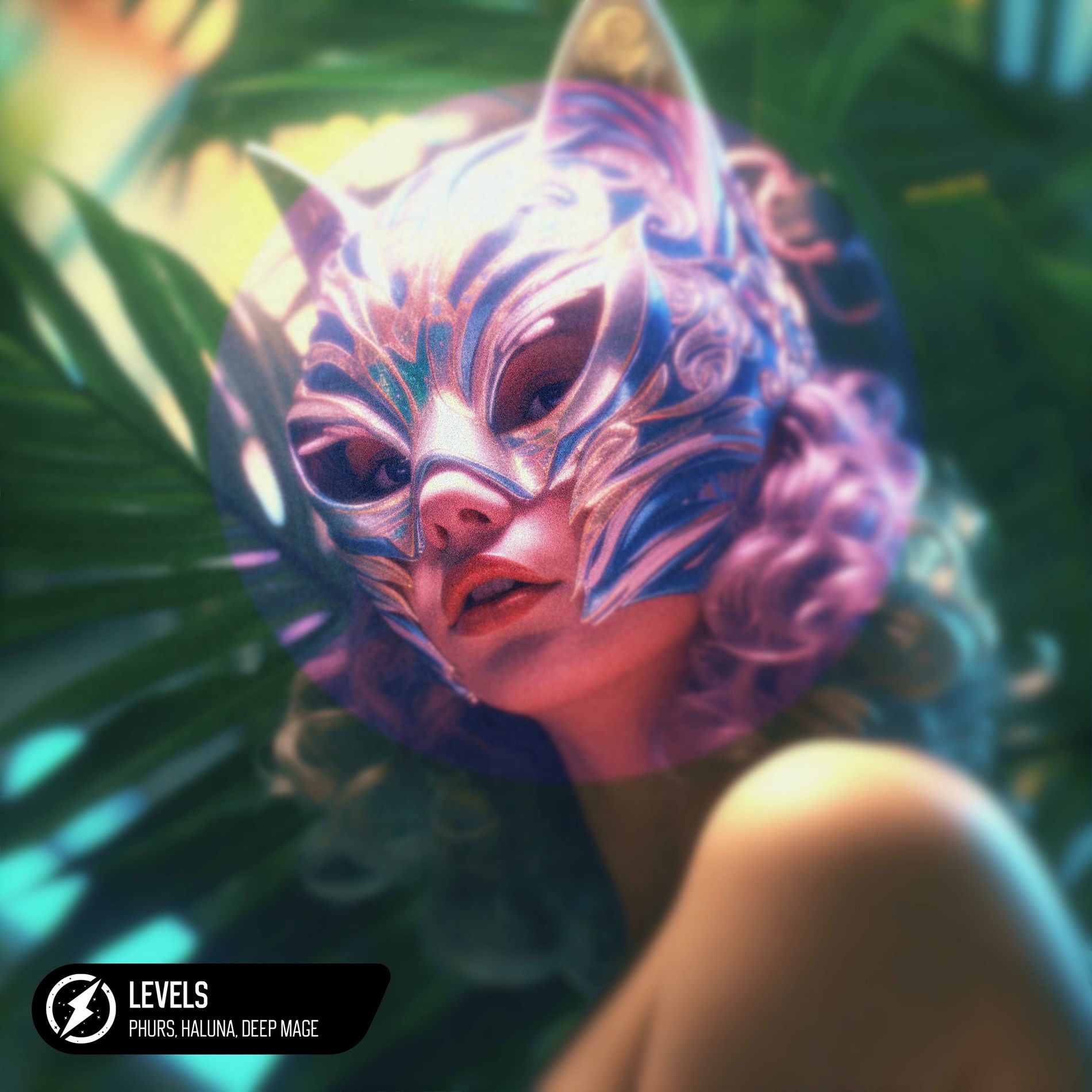 Album cover of Levels