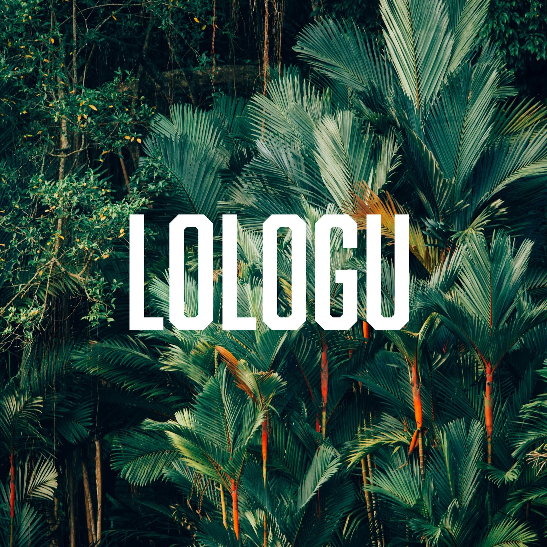 Album cover of Lologu