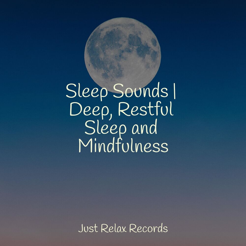 Picture of Sleep Sounds | Deep, Restful Sleep and Mindfulness