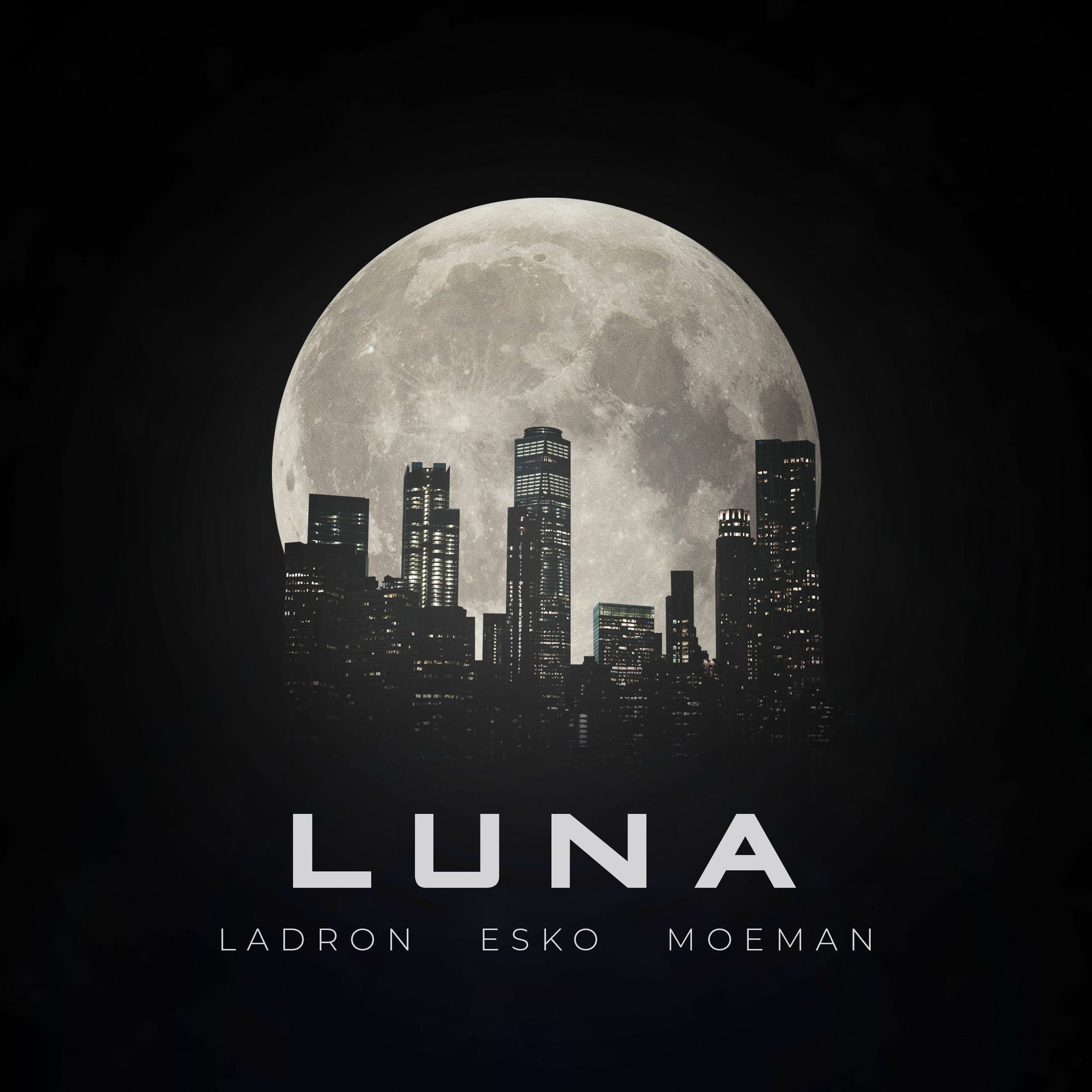 Album cover of Luna