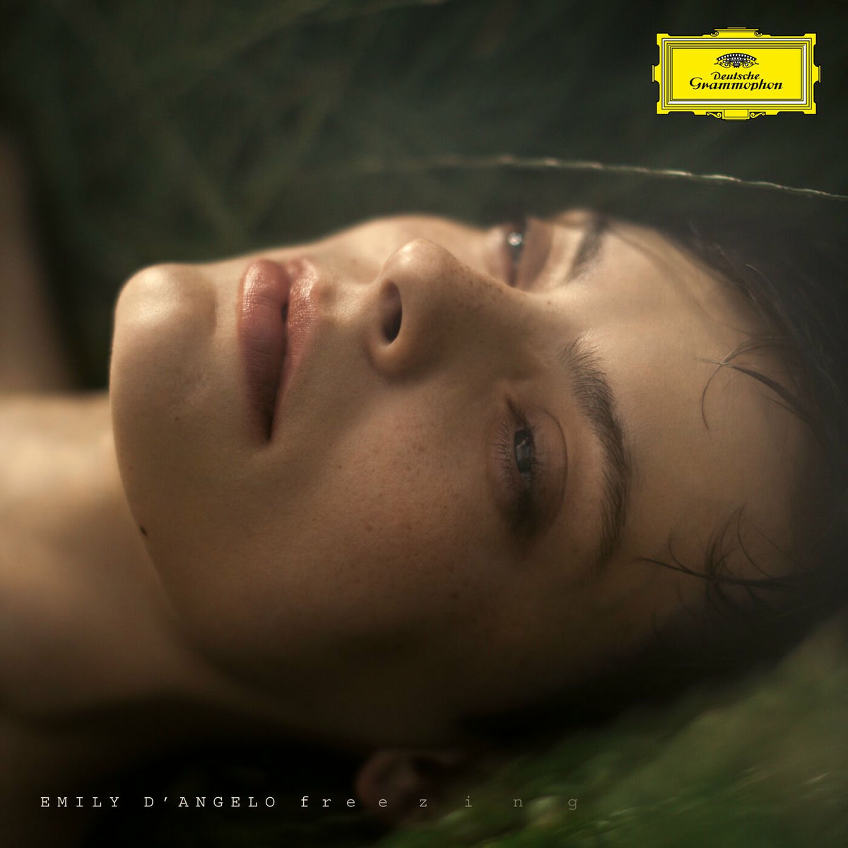 Album cover of Glass: Freezing (Arr. D'Angelo for Voice, Piano, Guitar and Bass)