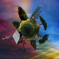 Cover of Day In The Forest