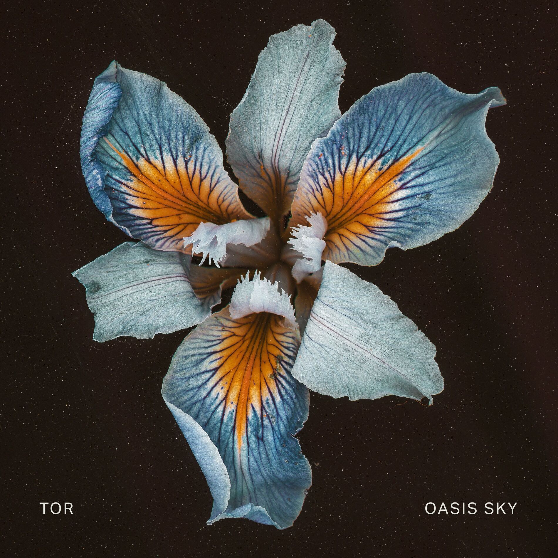 Album cover of Oasis Sky