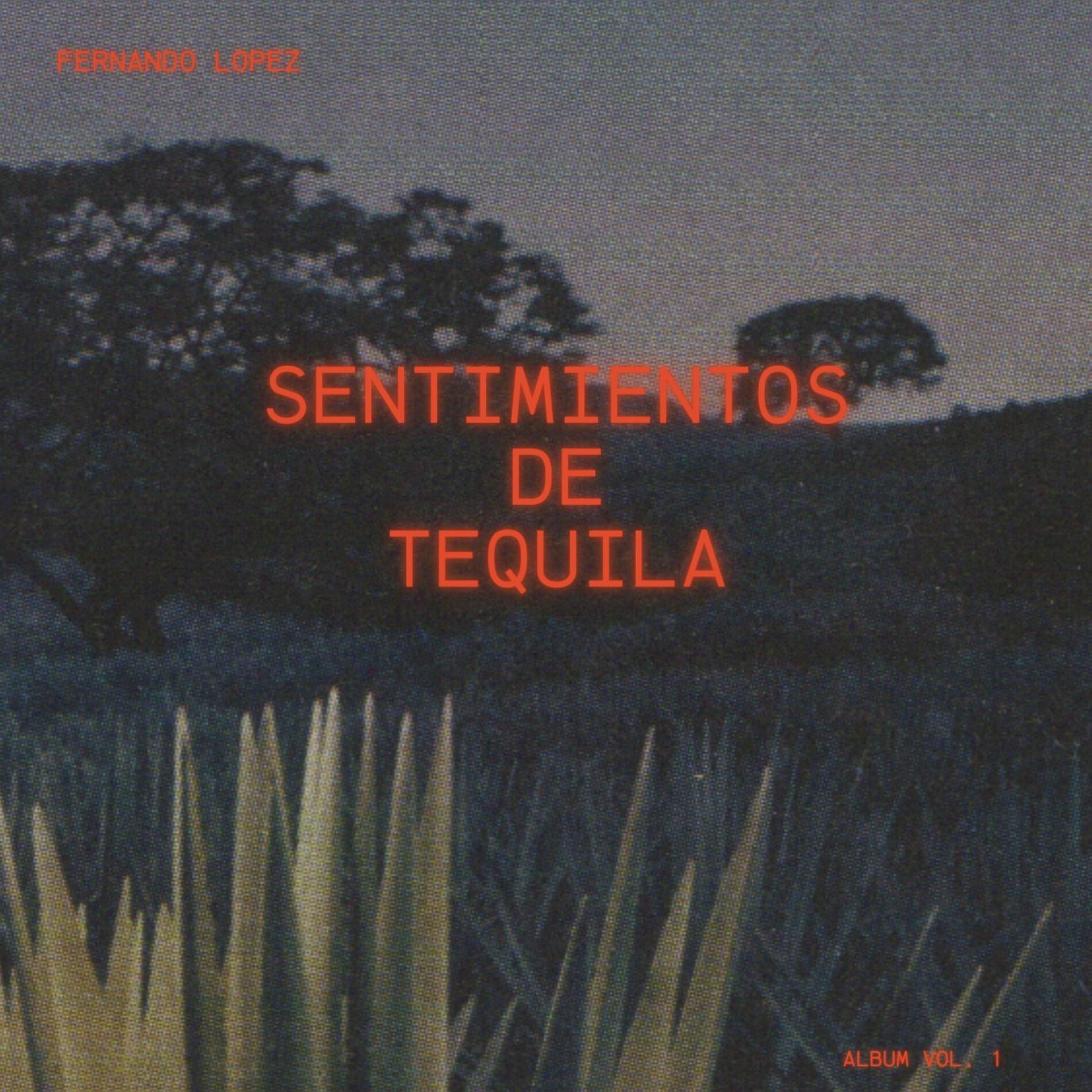 Album cover of Sentimientos de Tequila