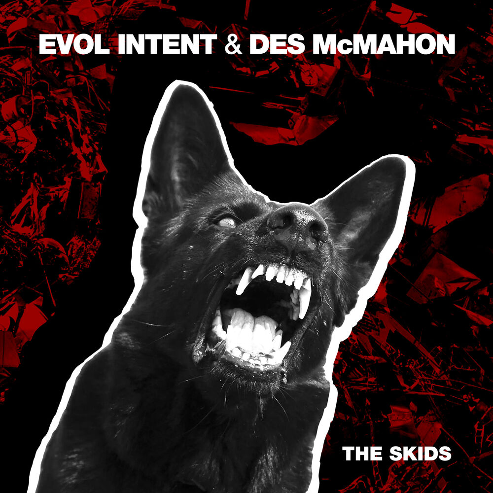 Picture of The Skids